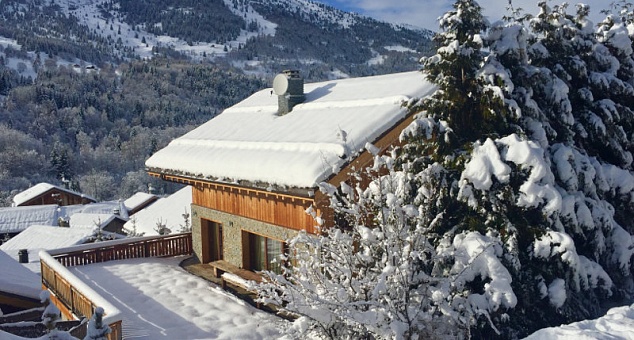 Chalet Zebra