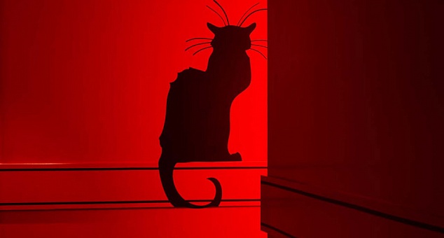 Le Chat Noir Design